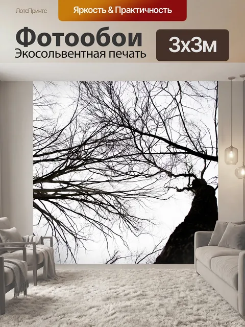 Фотообои Деревья