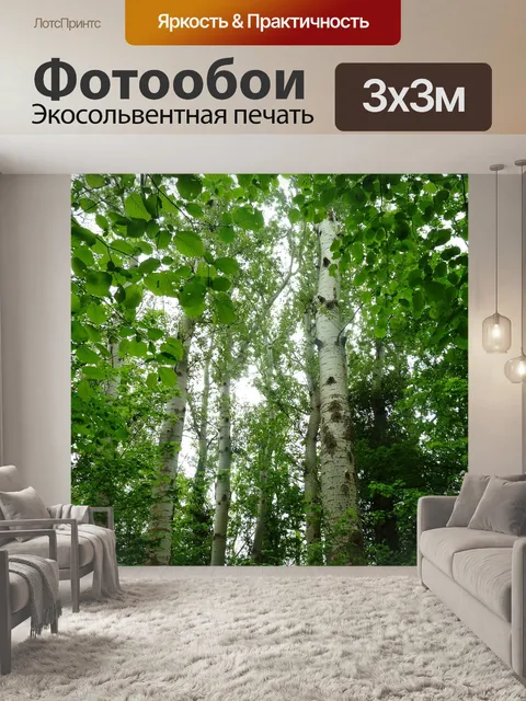 Фотообои Береза