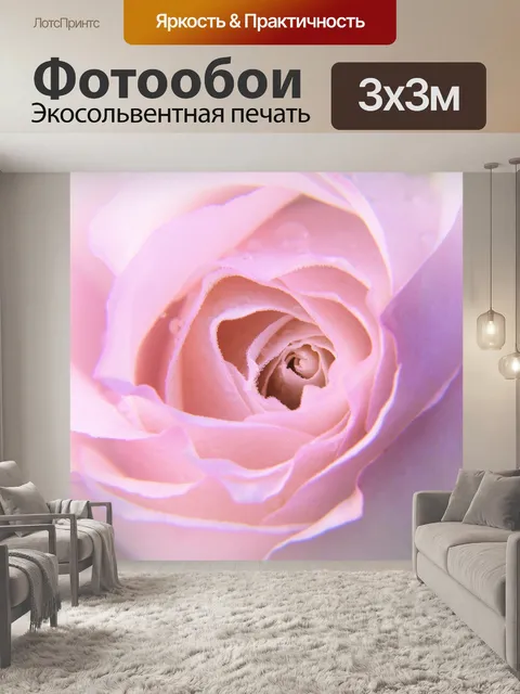 Фотообои Роза
