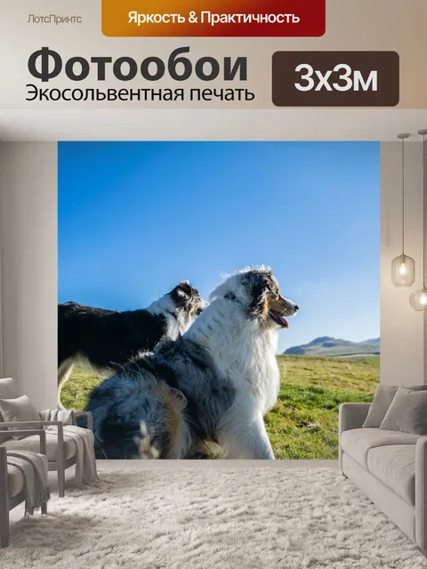 Фотообои Собаки