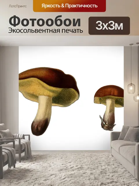 Фотообои Грибная винтажная художественная иллюстр