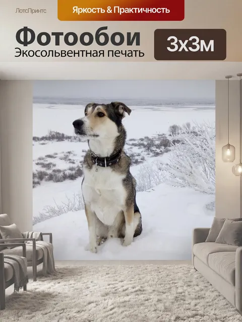 Фотообои Снег