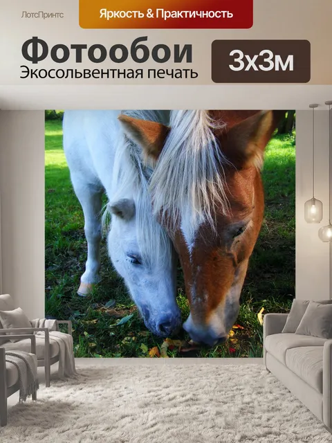 Фотообои Лошади