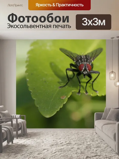 Фотообои Летать