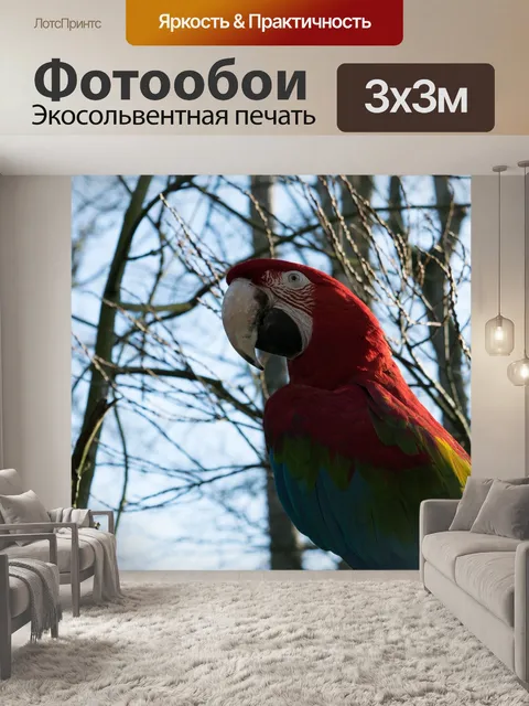 Фотообои Птица