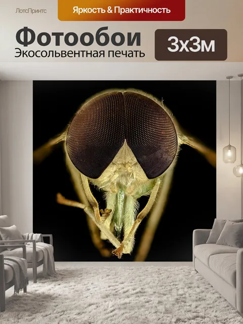 Фотообои Зеленые лошади летают