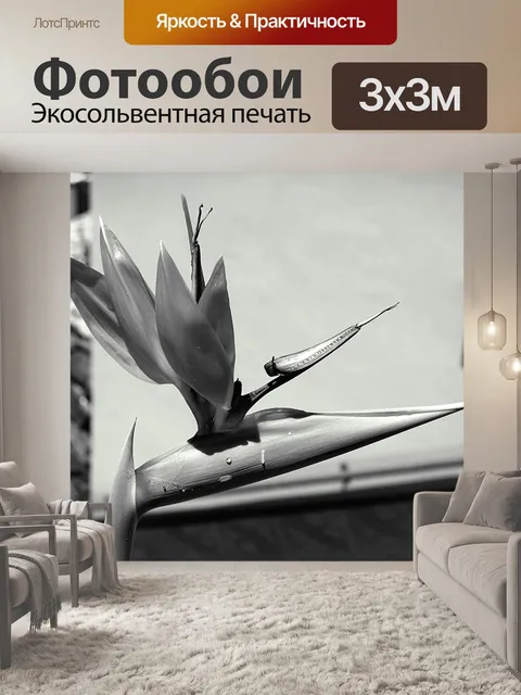 Фотообои Цветы