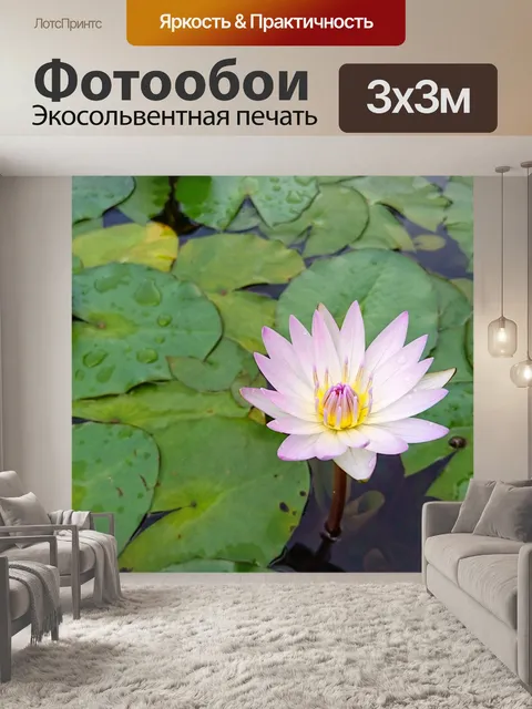 Фотообои Цветок