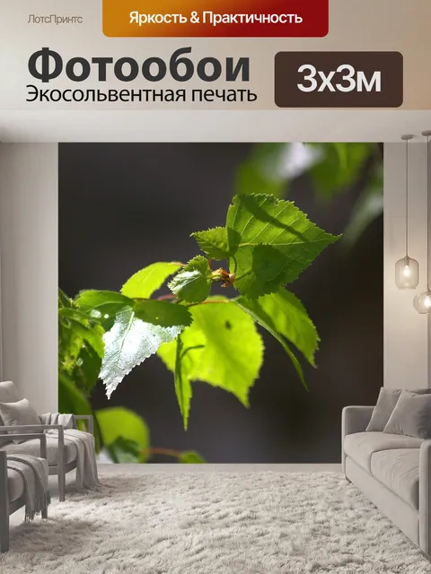 Фотообои Листья