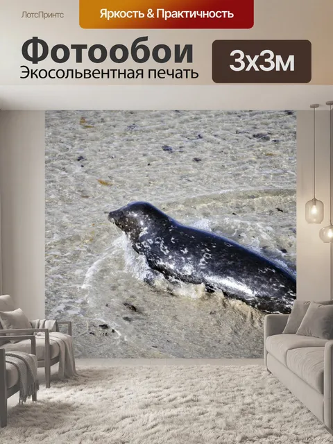 Фотообои Печать Выйдя из воды