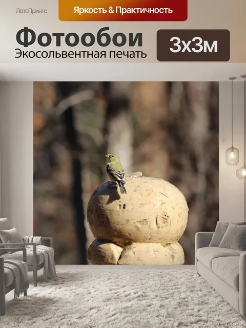 Фотообои Птица