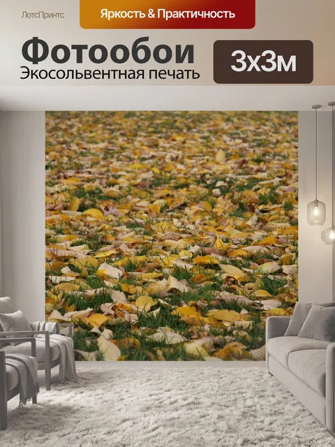 Фотообои Опавшие осенние листья