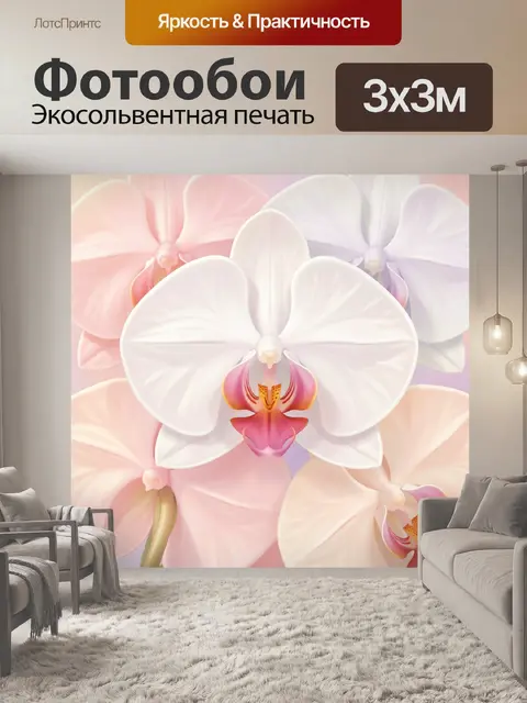 Фотообои Нежные орхидеи в пастельных тонах