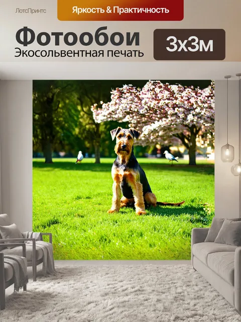 Фотообои эрдельтерьер, сидящий на ярко-зеленой лужайке под солнечными лучами, его шерсть переливается всеми оттенками…