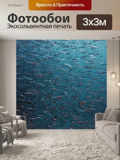Фотообои Рыбы