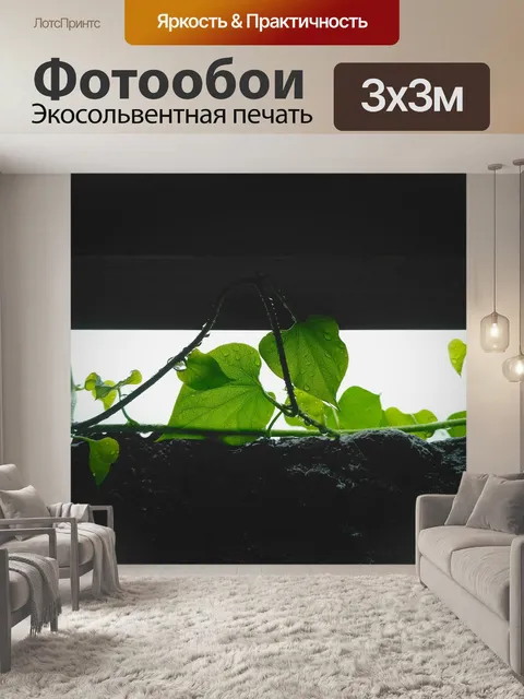 Фотообои Мокрый