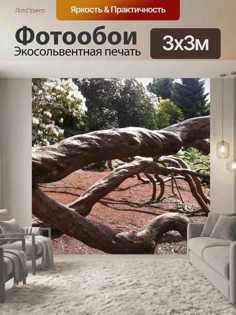 Фотообои Дерево