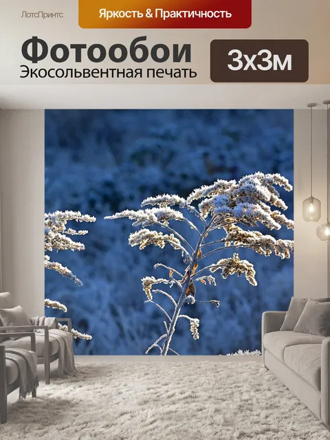 Фотообои Природа