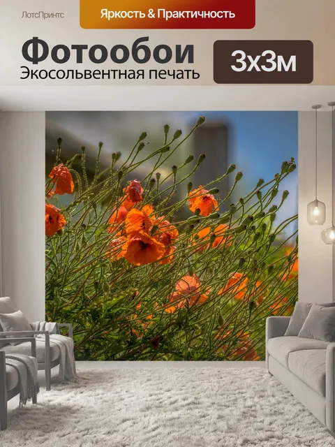 Фотообои Маки