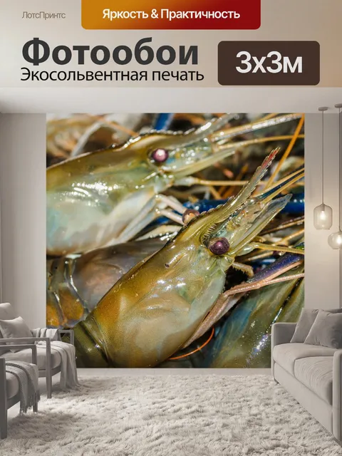 Фотообои Свежие приготовленные креветки фон мореп