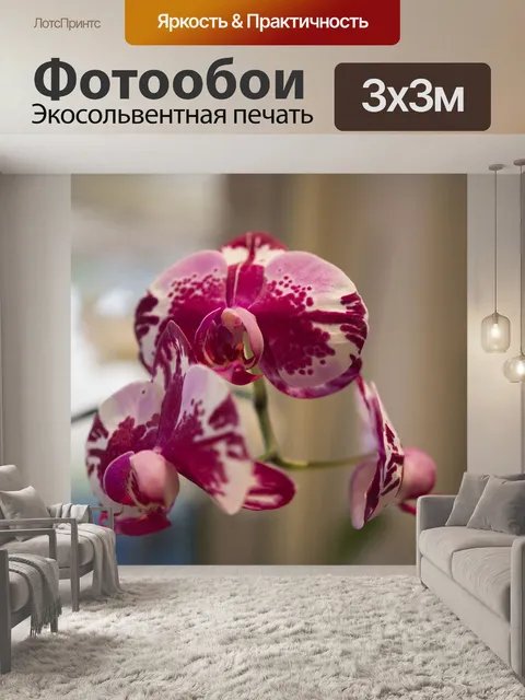 Фотообои Цветок