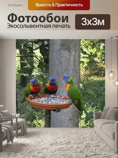 Фотообои Животные