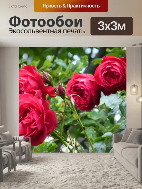 Фотообои Розы