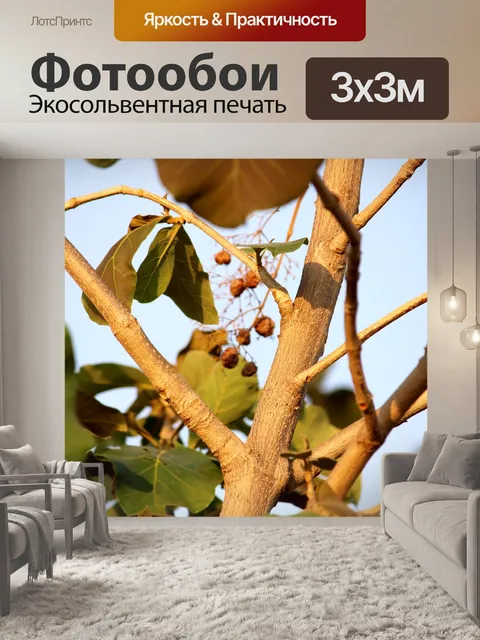 Фотообои Дикое дерево листья