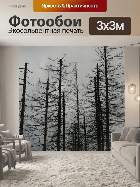 Фотообои Вымирание леса