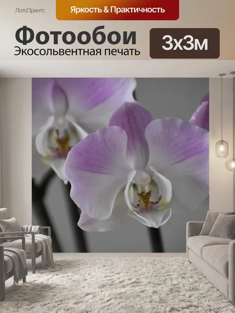 Фотообои Орхидея