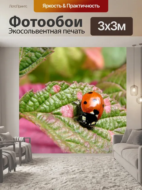 Фотообои Животное
