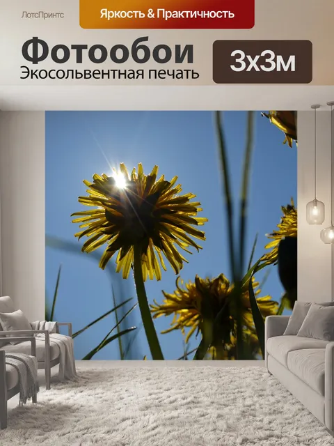 Фотообои Солнце