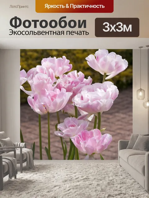 Фотообои Розовый тюльпан цветы