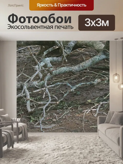 Фотообои упавшая ветка