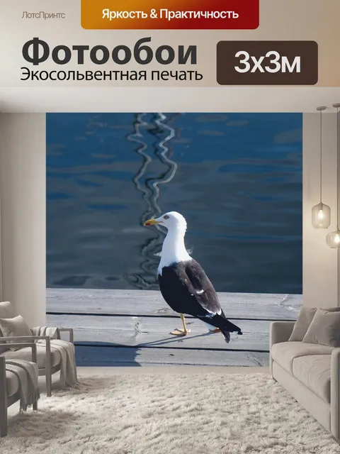 Фотообои Птица