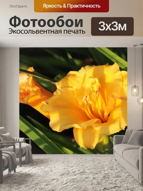 Фотообои Два оранжевых лилии на рассвете