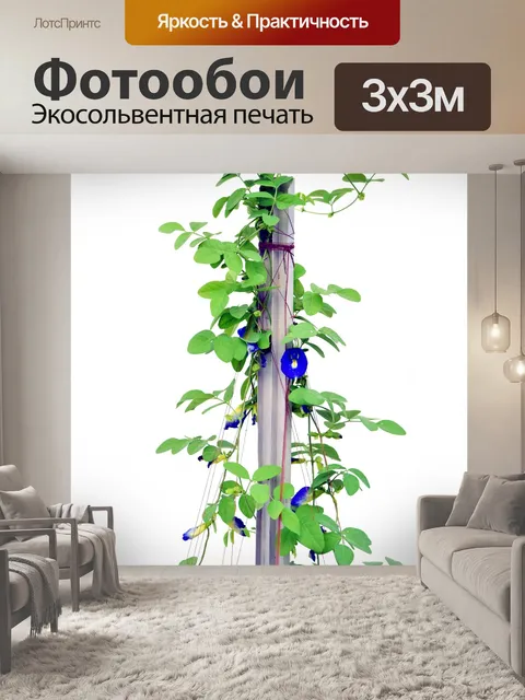Фотообои Уличная башня