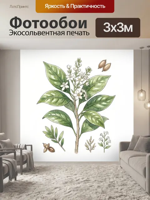 Фотообои Ботаническая ветвь с белыми цветами