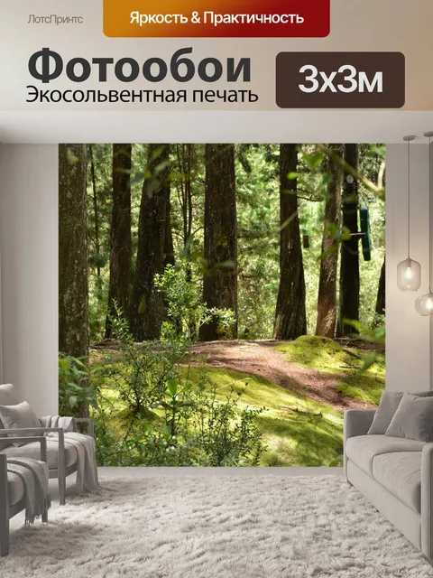 Фотообои Лес