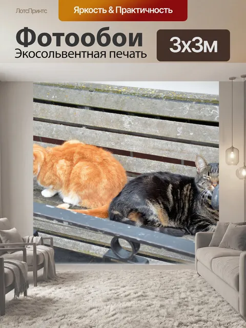 Фотообои Кошки 8