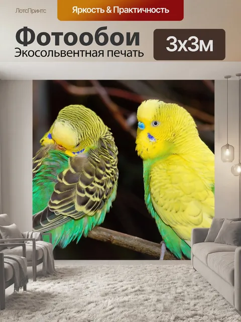 Фотообои Птицы