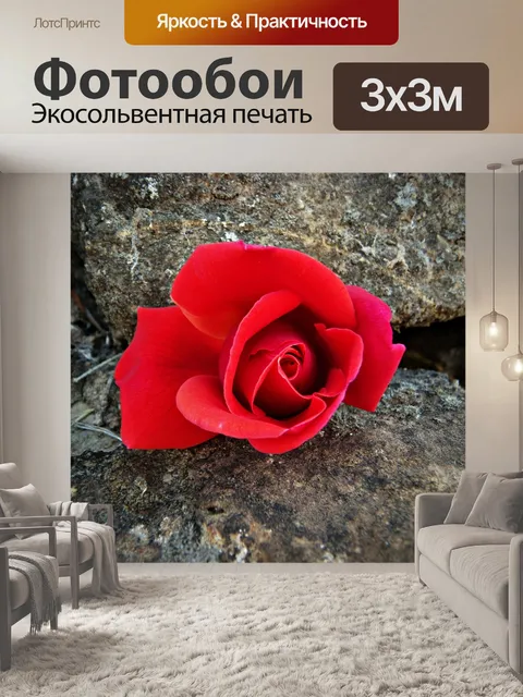 Фотообои Красная роза