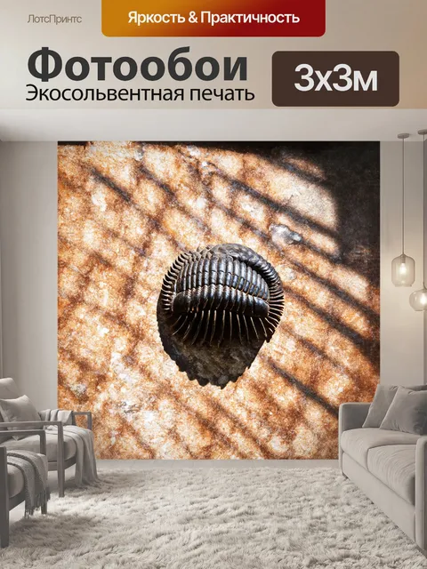 Фотообои полная окаменелость трилобита, находящаяся в центре крупного плана, выделяется на фоне мраморной текстуры