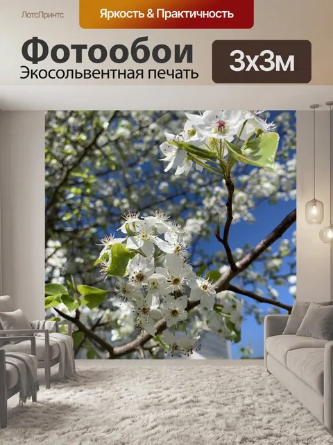 Фотообои Белый