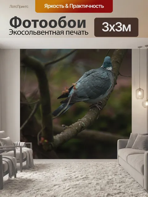 Фотообои Птица