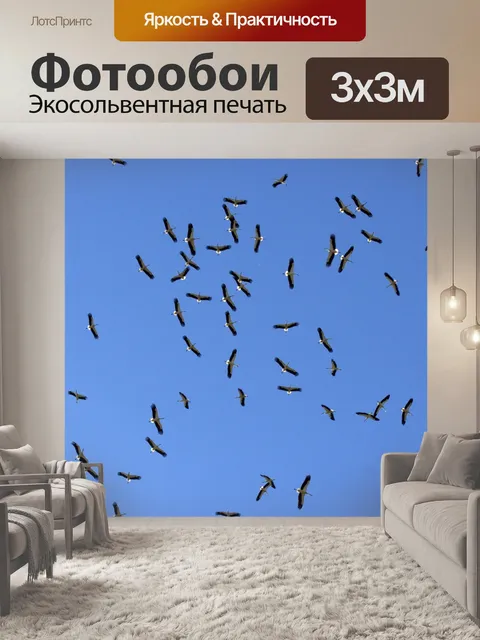 Фотообои Аист