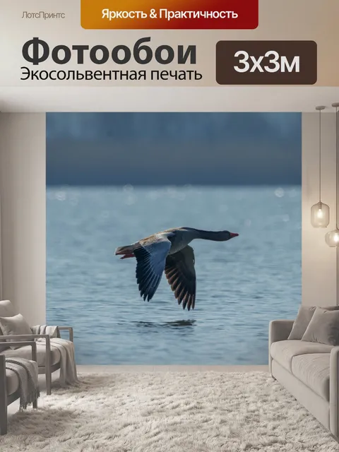 Фотообои Полет