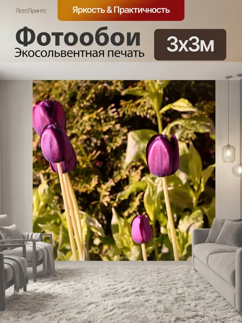 Фотообои Сад