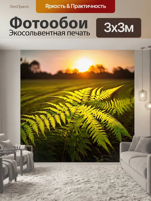 Фотообои закат над полем с папоротниками
