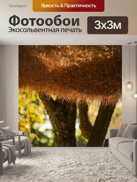 Фотообои Листья